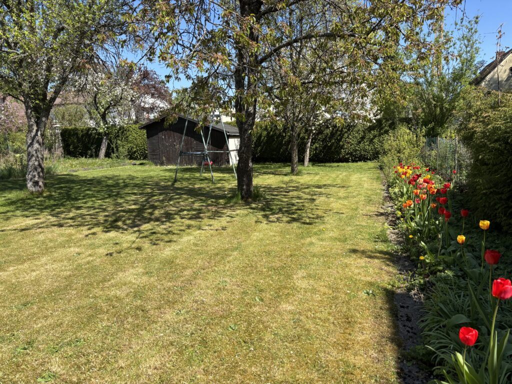 FRÜHLINGSBILD